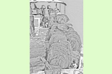 হুমকির মুখে মাছসহ জীববৈচিত্র্য