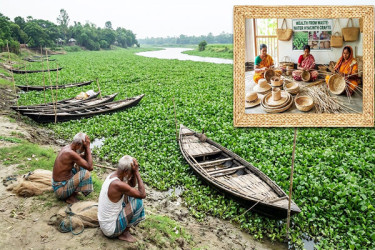 নীল শয়তান থেকে সবুজ সম্ভাবনা
