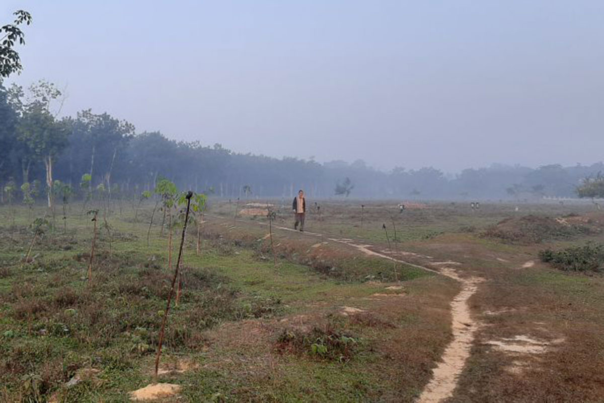 শ্রীমঙ্গলে তাপমাত্রার পারদ ১৩ ডিগ্রিতে