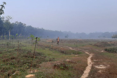 শ্রীমঙ্গলে তাপমাত্রার পারদ ১৩ ডিগ্রিতে