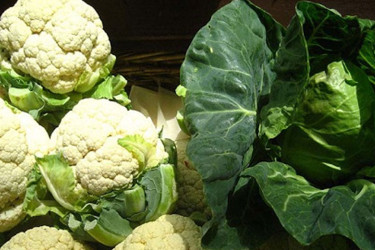 ফুলকপি না বাঁধাকপি- কোনটির পুষ্টিগুণ বেশি?