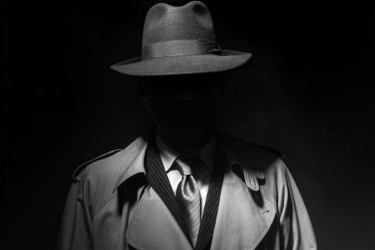 পাকিস্তানের হয়ে গুপ্তচরবৃত্তির অভিযোগে ভারতে আরও দু’জন গ্রেফতার