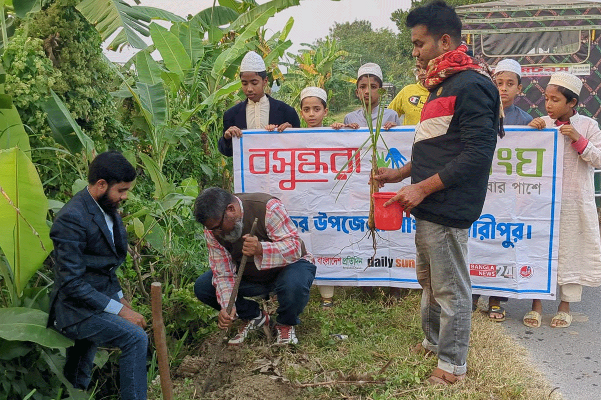 বিজয়ের মাস উপলক্ষে শিবচরে বসুন্ধরা শুভসংঘের বৃক্ষরোপণ
