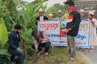 বিজয়ের মাস উপলক্ষে শিবচরে বসুন্ধরা শুভসংঘের বৃক্ষরোপণ