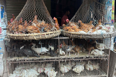 মাছ-মাংস-ডিমের দাম চড়া