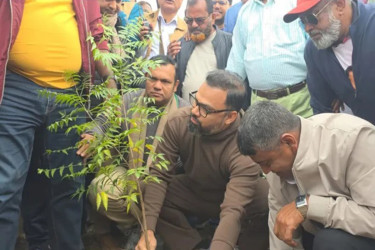সংবর্ধনাস্থলে ক্ষতি পুষিয়ে নিতে বিএনপির বৃক্ষরোপণ