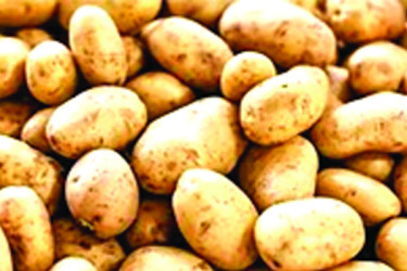 আলু নিয়ে বিপাকে হিমাগার মালিকরা