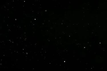 ১০ বছরের গবেষণায় রহস্যময় কণার অস্তিত্ব নাকচ করলেন বিজ্ঞানীরা