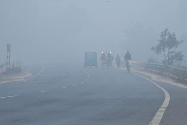 ঘন কুয়াশার সঙ্গে হিমেল বাতাসে বিপর্যস্ত সিরাজগঞ্জের জনজীবন