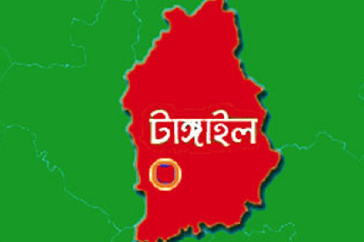 টাঙ্গাইলে ৮ আসনে ৬৫ প্রার্থীর মনোনয়নপত্র দাখিল
