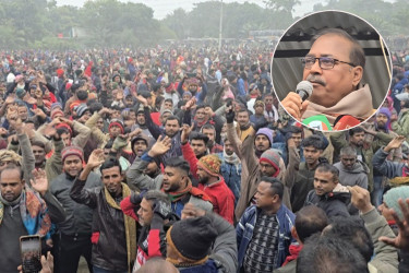 তৃপ্তির মনোনয়ন পুনর্বহালের দাবিতে শার্শায় গণজমায়েত