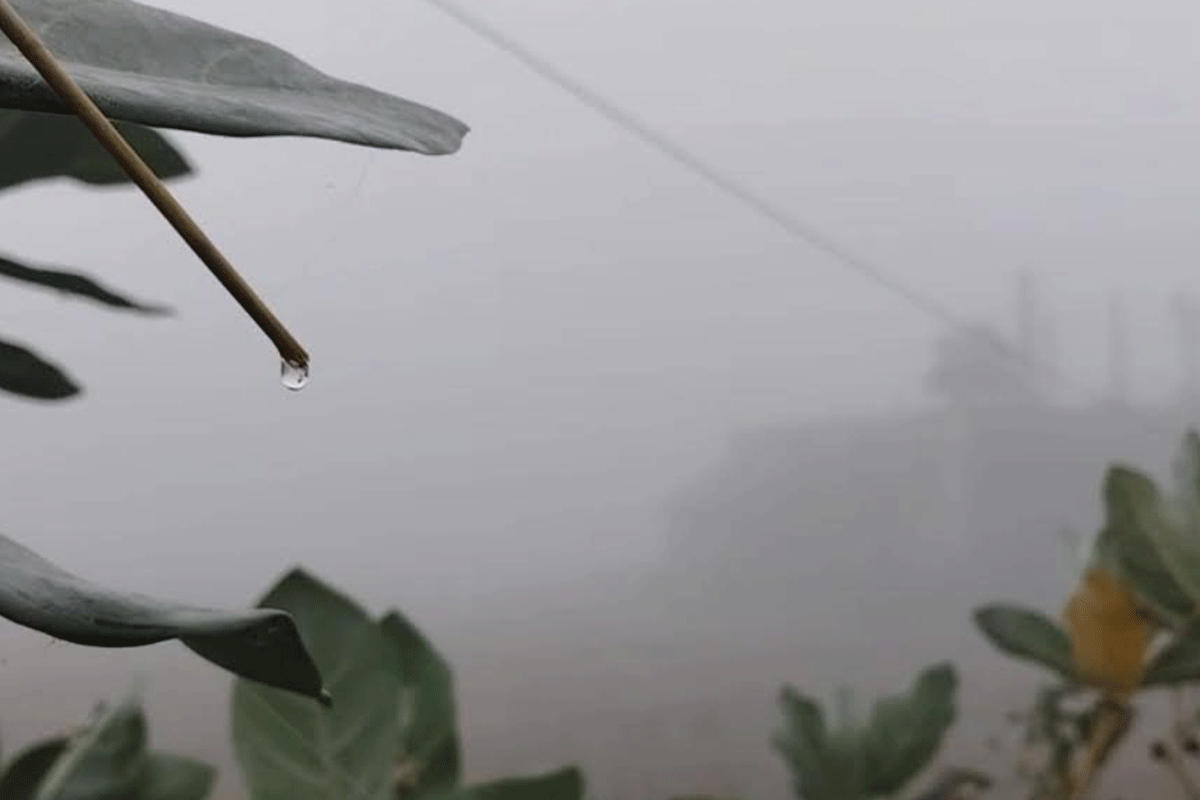 ঢাকায় সন্ধ্যার মধ্যে গুঁড়ি গুঁড়ি বৃষ্টির আভাস