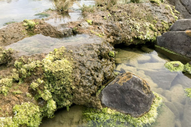 নিরবচ্ছিন্ন কার্বন শোষণে সক্রিয় আফ্রিকার রহস্যময় জীবন্ত শিলা