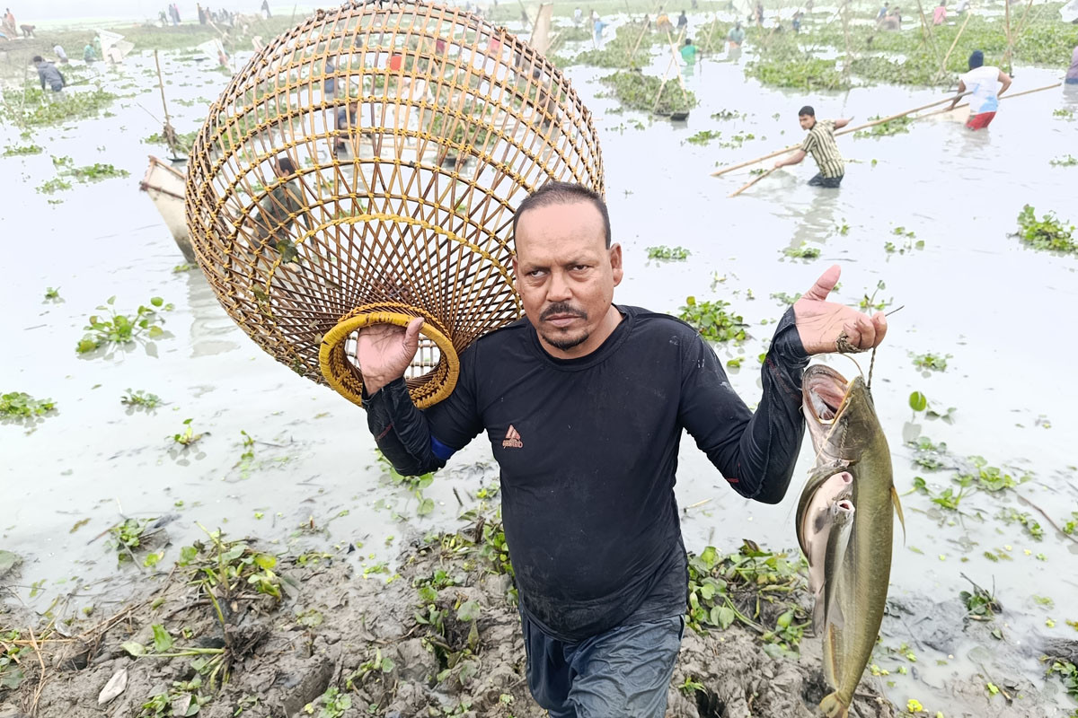 গোয়াহরি বিলে ফিরল ঐতিহ্যের ‘পলো বাওয়া’ উৎসব