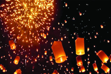 আতশবাজির নিষ্ঠুর আচরণ