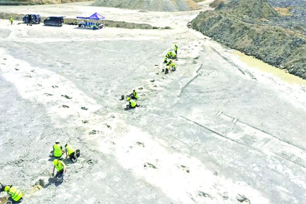 ২০২৫ সালের বিস্ময়কর যত আবিষ্কার