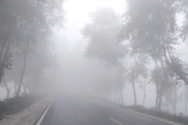 কনকনে শীত ও ঘন কুয়াশায় বিপর্যস্ত কুড়িগ্রামের জনজীবন