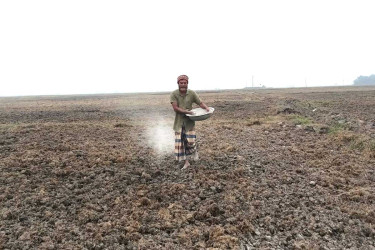 ব্রাহ্মণবাড়িয়ায় কৃষি জমির উৎপাদন বৃদ্ধিতে প্রথমবার ডলুচুন প্রয়োগ