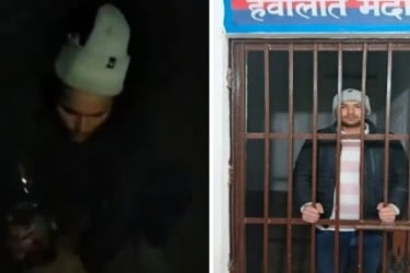 ভারতে কুকুরকে মদ ‘খাইয়ে’ নির্যাতন, অতঃপর…