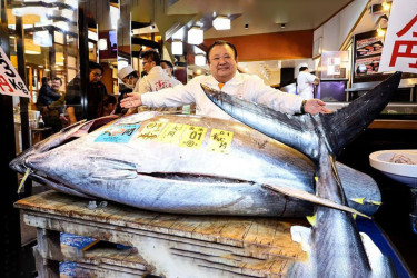 এক টুনা মাছের দাম ৩৯ কোটি টাকা!