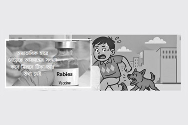 অ্যান্টি র‌্যাবিস ভ্যাকসিন সংকট
