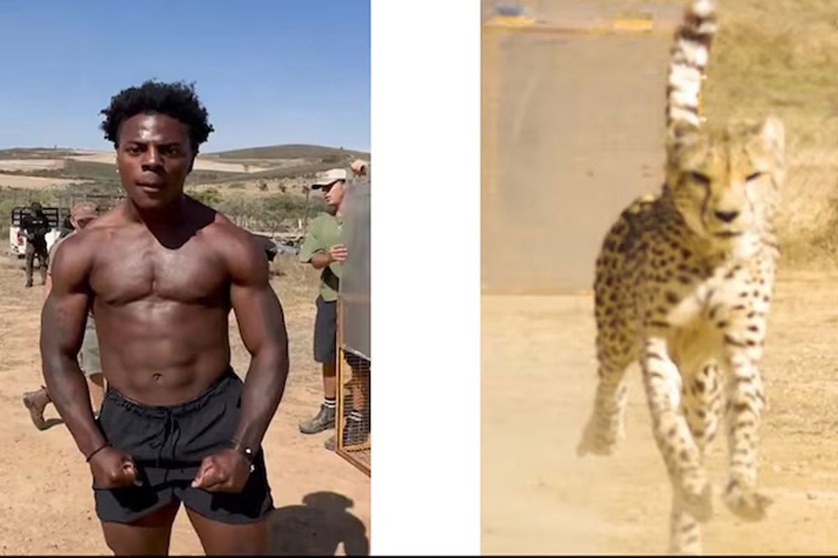 চিতার সঙ্গে দৌড়, আহত হয়েও পিছিয়ে যাননি!