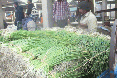 পেঁয়াজ চাষে ব্যস্ত দিনাজপুরের চাষিরা, ভালো দামের আশা