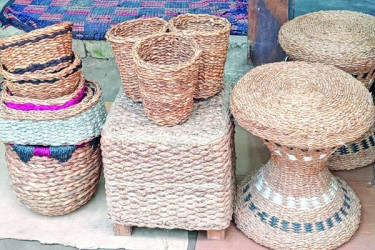 কচুরিপানা এখন আর ফেলনা নয়, সম্পদ