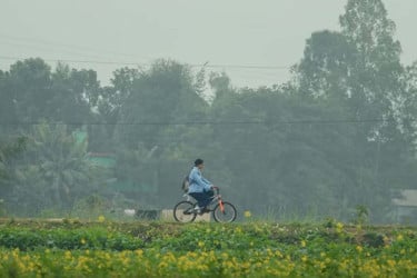 নারী ভোটারদের মধ্যে সচেতনতা বাড়াতে বিশেষ টিভিসি প্রকাশ