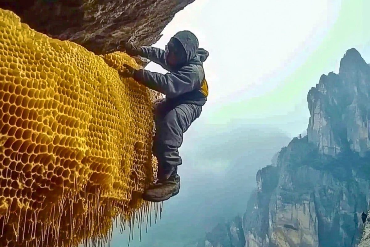 ম্যাড হানি ভয়ংকর, খেলেই মৃত্যু?