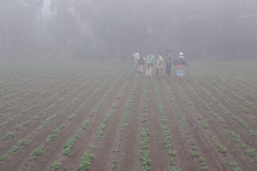 কনকনে শীতে বিপর্যস্ত কুড়িগ্রামের জনজীবন