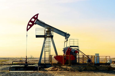 শুধু তেল নয়, ভেনেজুয়েলার ভেতরে আছে আরও বড় চমক