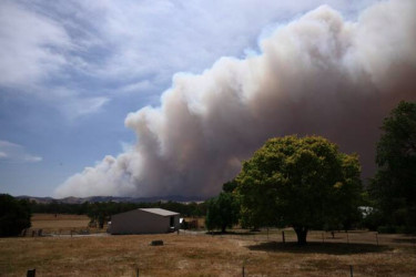 দাবানলে পুড়ছে অস্ট্রেলিয়া, বিদ্যুৎহীন হাজারো মানুষ