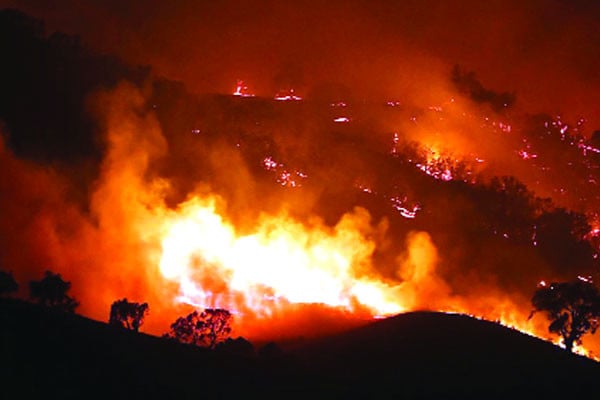 অস্ট্রেলিয়ায় দাবানলে পুড়েছে ঘরবাড়ি সম্পদ