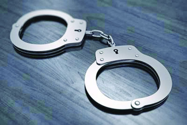 সালমান আনিসুলের বিচার শুরুর আদেশ