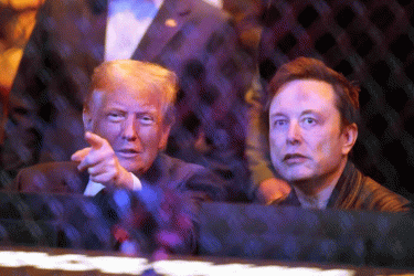 ইরানে ইন্টারনেট চালু করতে মাস্কের সাথে কথা বলবেন ট্রাম্প