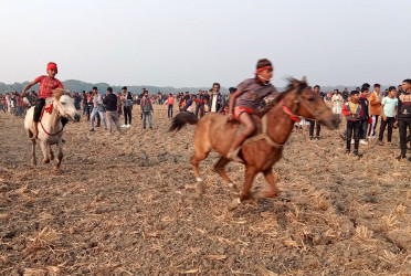 মাগুরায় ঘোড়দৌড় প্রতিযোগিতা