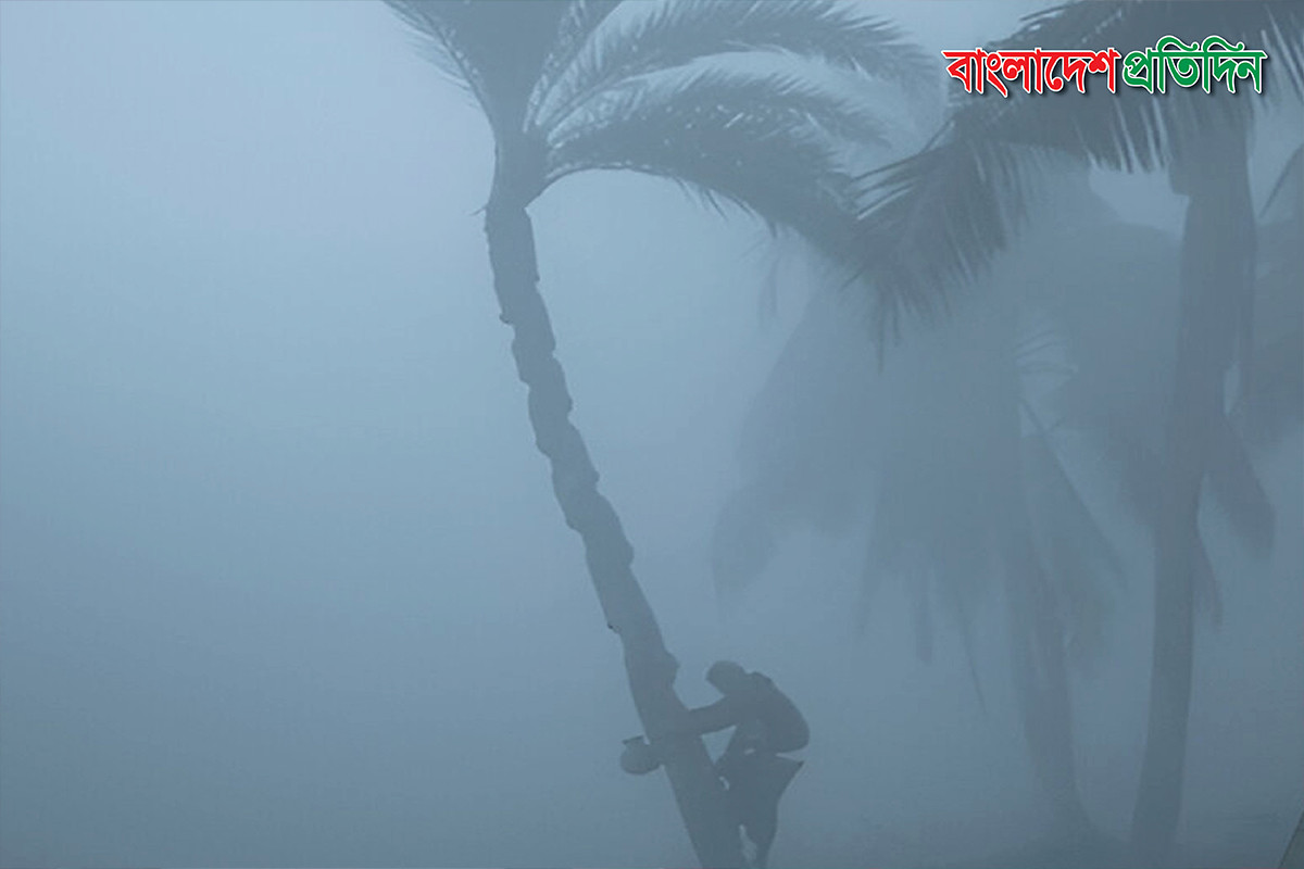 উত্তরের তিন জেলায় বইছে মৃদু শৈত্যপ্রবাহ