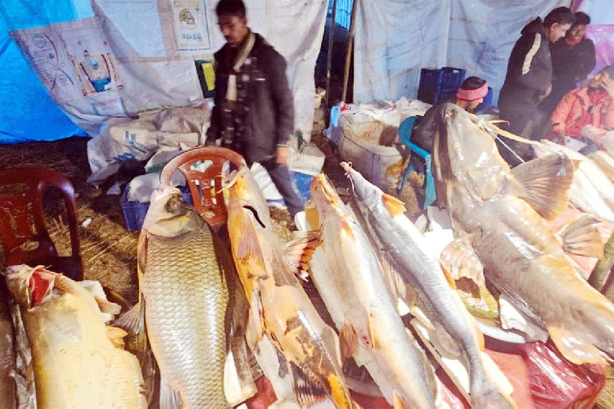 নদীরপাড়ে ঐতিহ্যবাহী ‘মাছের মেলা’