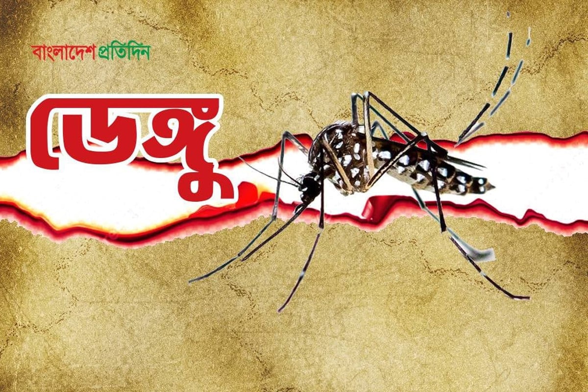 ডেঙ্গুতে আক্রান্ত হয়ে হাসপাতালে ভর্তি ৩৫