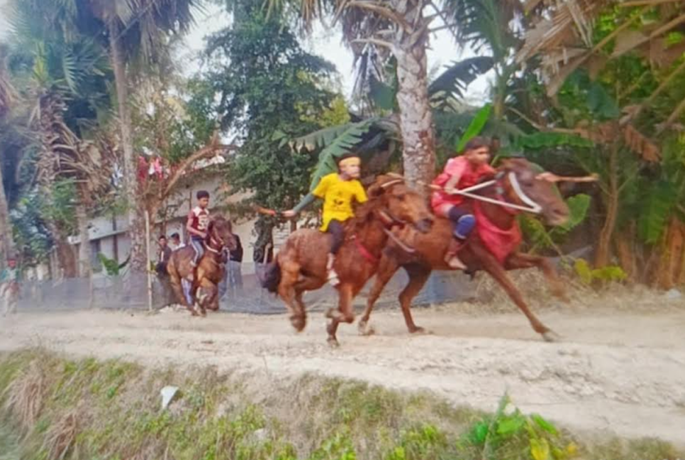 নড়াইলে ঘোড়দৌড় প্রতিযোগিতায় হাজারো দর্শকের ঢল