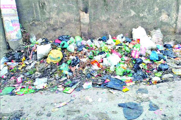 ডাস্টবিন নেই সড়কেই বর্জ্য