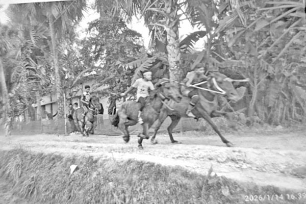 নড়াইলে ঘোড়দৌড় প্রতিযোগিতা ও পৌষমেলা