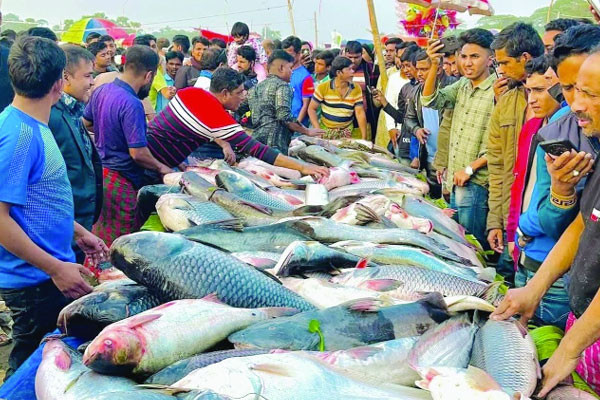 চোখ জুড়ানো মাছের মেলা