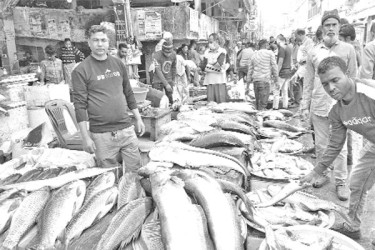 পৌষসংক্রান্তিতে মাছের মেলা