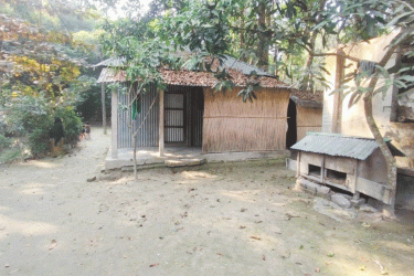 গোপালগঞ্জে মা-বাবাকে জীবন্ত কবর দেওয়ার চেষ্টা, দুই ছেলে গ্রেফতার