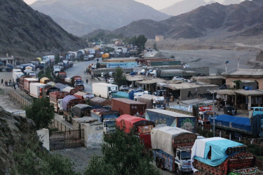 চীন-ভিয়েতনামের আহ্বানে সাড়া পাকিস্তানের