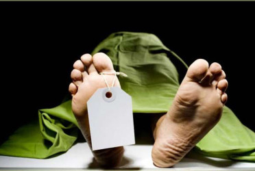 তালায় যাত্রীবাহী পরিবহনের ধাক্কায় যুবক নিহত