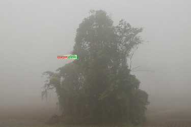 বৃহস্পতিবার থেকে শৈত্যপ্রবাহ বাড়তে পারে