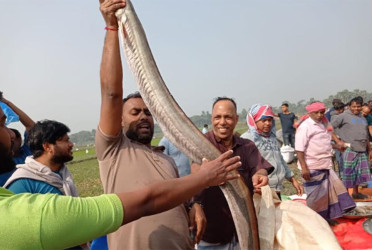 গাজীপুরে মেলায় বিশাল আকৃতির মাছ
